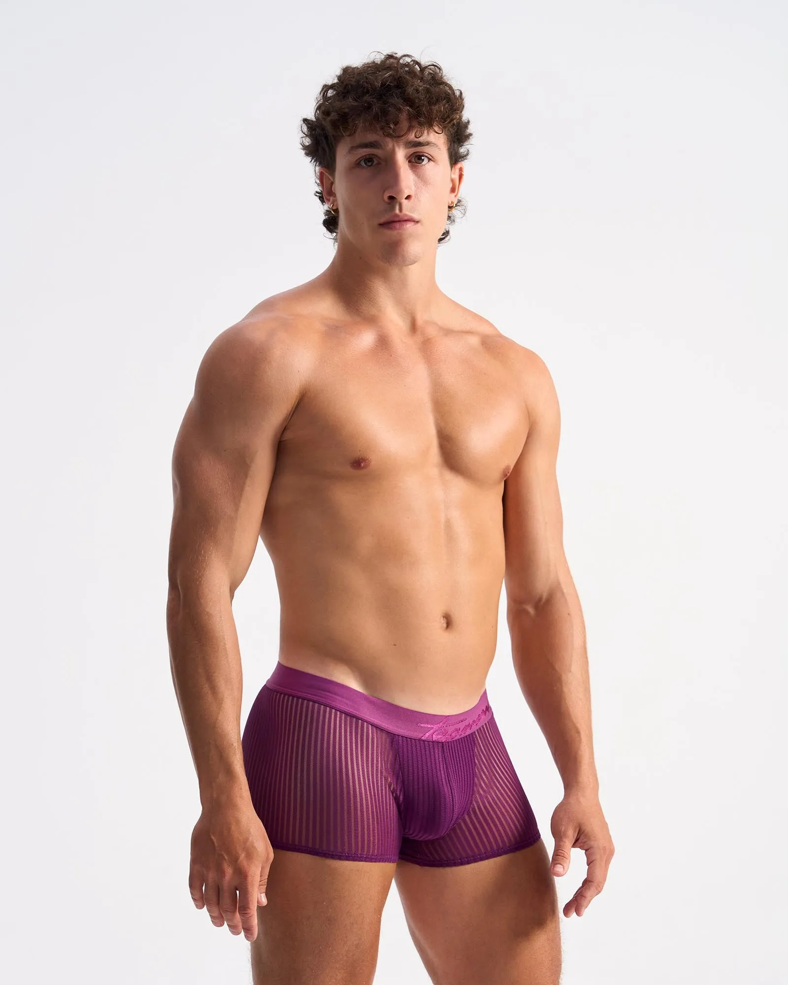 Casanova Trunk - Violet