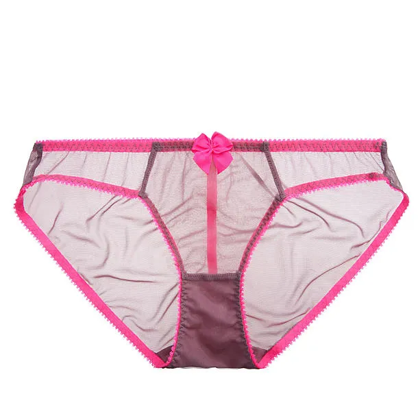 Dessous Mesh Bikini