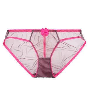Dessous Mesh Bikini