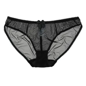 Dessous Mesh Bikini