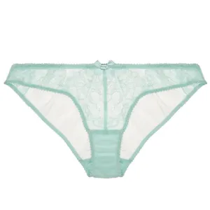 Idalia Mini Brief