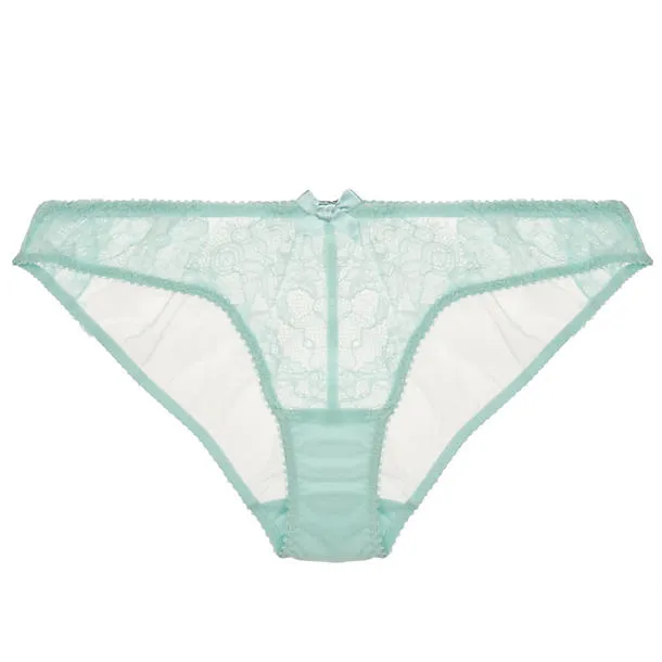 Idalia Mini Brief