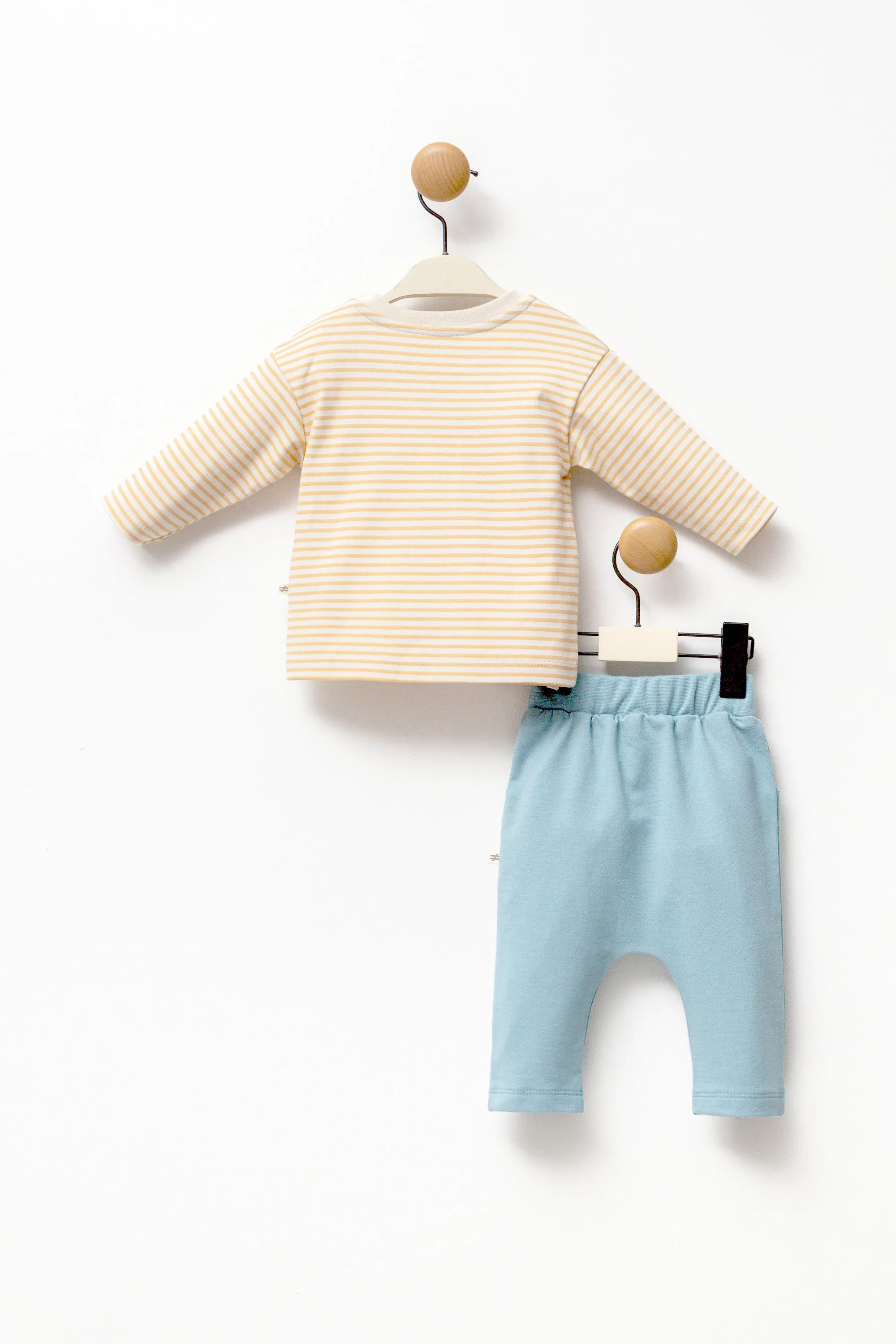 Yellow Striped Zebra Graphic Outfit