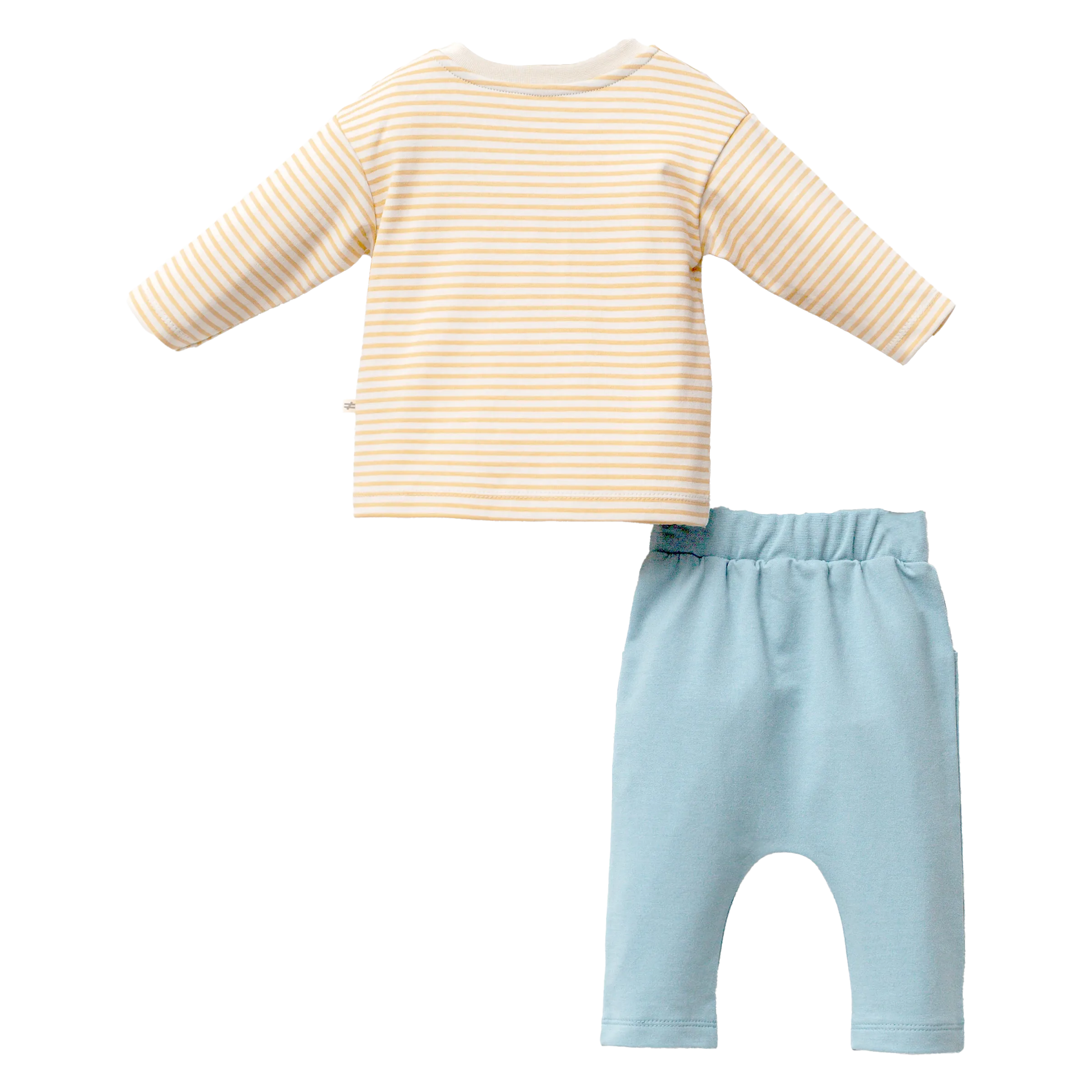 Yellow Striped Zebra Graphic Outfit